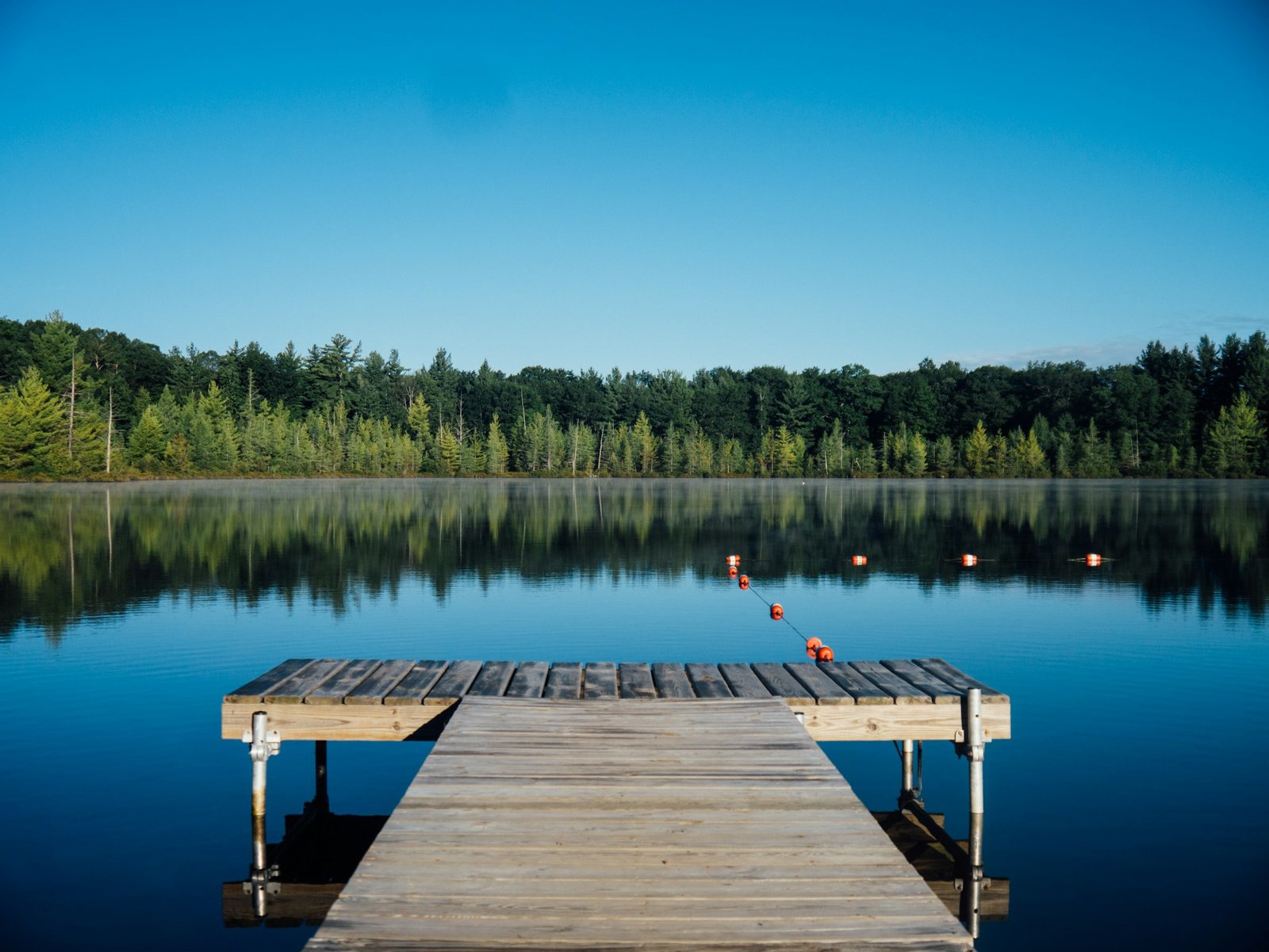 Water in a peaceful natural landscape